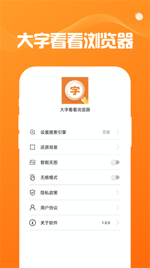 大字看看瀏覽器 v1.0.0 最新版 1