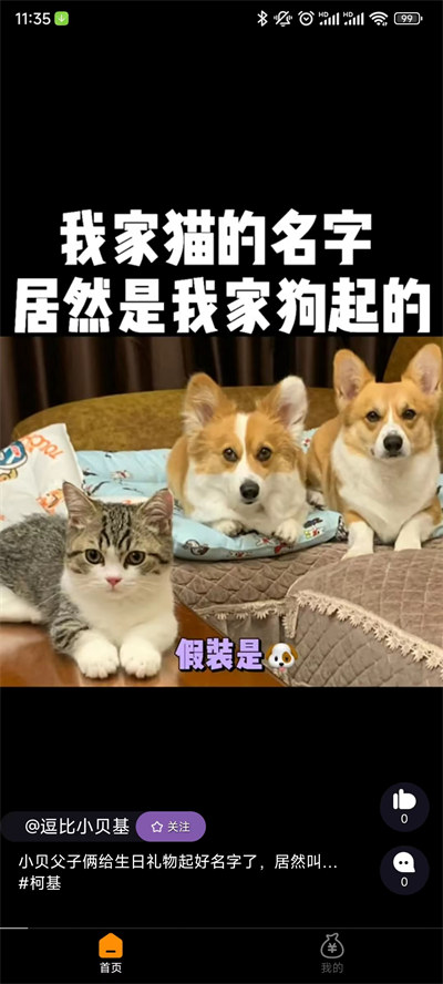 微看點 v1.0.0 安卓版 3