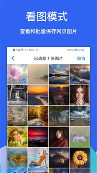 alook瀏覽器 v9.5 安卓版 4