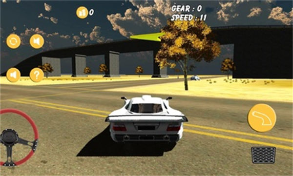 沙漠汽車模擬器 v6.0 安卓版 0