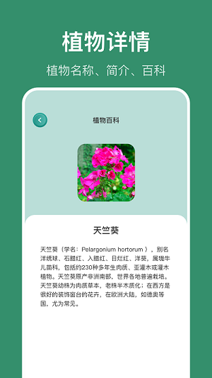 花仙識花草 v1.1 安卓版 2