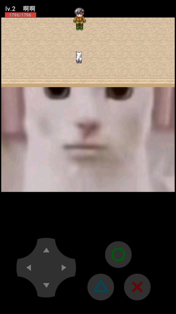 猫咪惊魂 v0.13.05 安卓版2