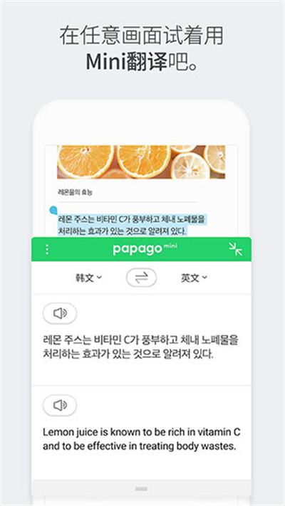 papago中韓翻譯 v1.9.29 安卓版 0