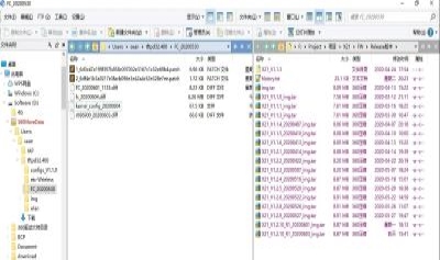 Directory Opus V12.31 1