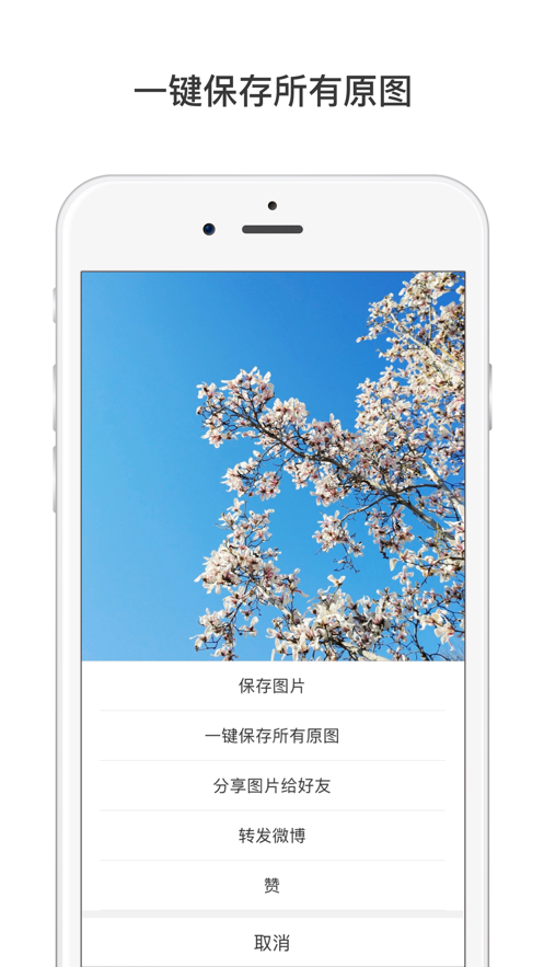 微博国际版iPhone客户端 v6.3.8 苹果手机版4