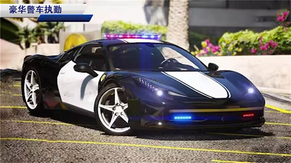 歐洲警車駕駛模擬 v1.3 0