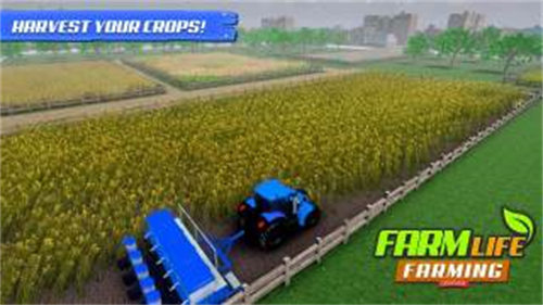 农场生活模拟器 v1.43