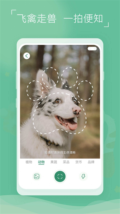 植物识别宝 v1.0.2 安卓版4