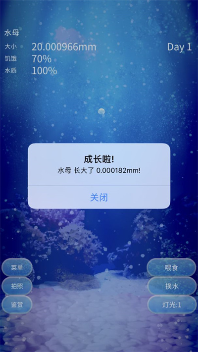 養(yǎng)育水母的治愈游戲 v4.6 最新版 1