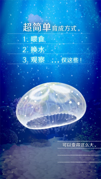 養(yǎng)育水母的治愈游戲 v4.6 最新版 2