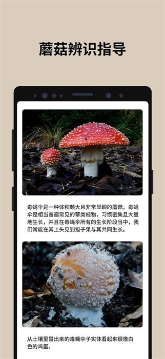 蘑菇识别 v2.9.20 安卓版1