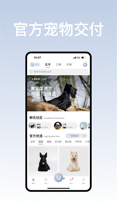 集寵區(qū)app測試版4