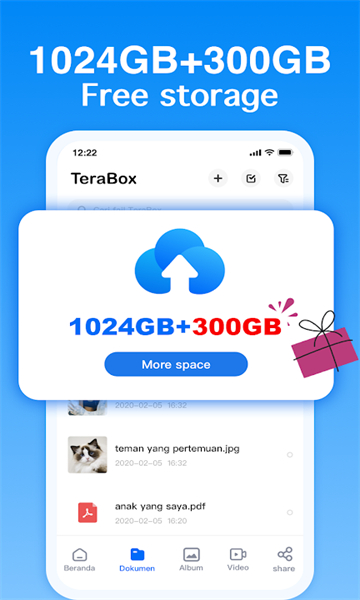 TeraBox v3.17.7 1