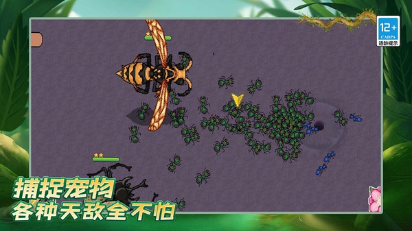 螞蟻之王復(fù)仇版 v1.0.0 1