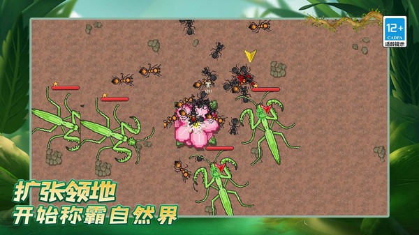 螞蟻之王復(fù)仇版 v1.0.0 2