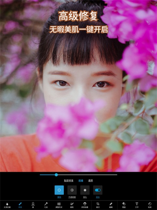 Adobe Photoshop Express ipad版2