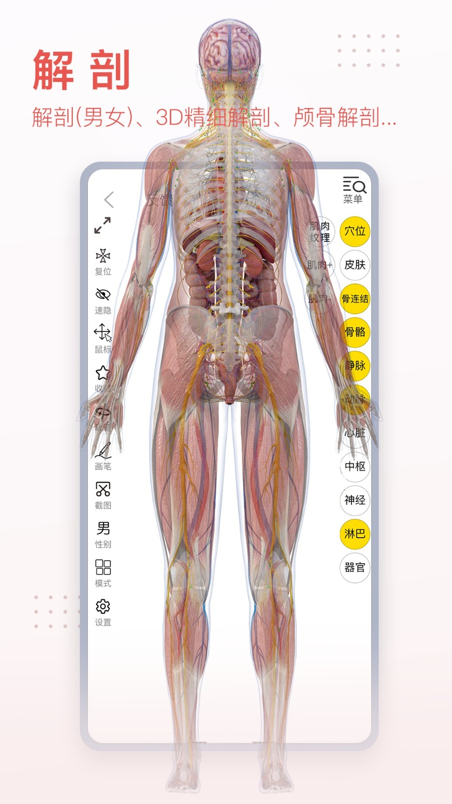 3dbody三维免费人体解剖软件 v8.8.13 官方安卓版4