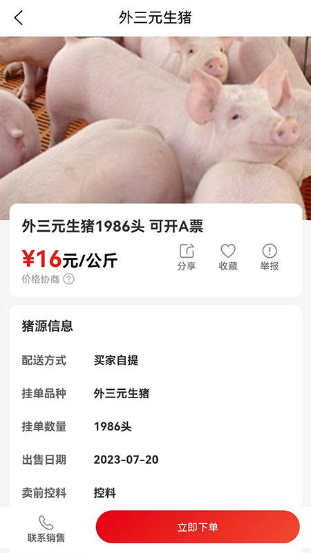 國家生豬市場APP v3.5.1 安卓版 2