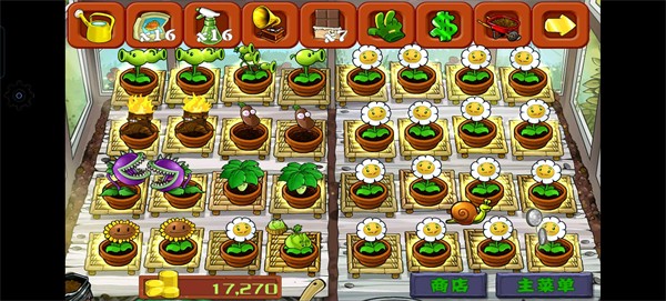 植物大戰(zhàn)僵尸北美ZQ版 vZQ0.2.6 安卓版 0