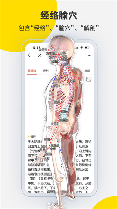 3dbody三維免費人體解剖軟件 v8.8.22 安卓版 0