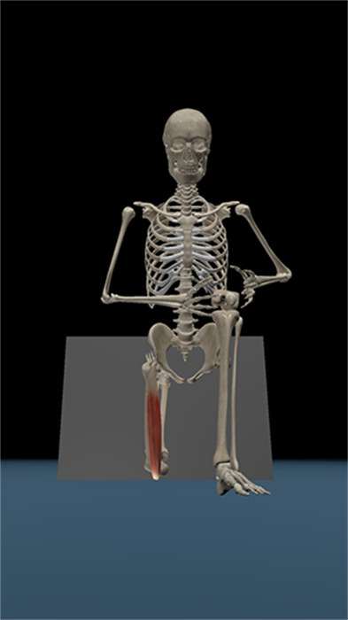 3D运动解剖 v2.40 手机版1