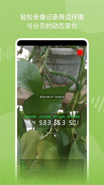 噪音分貝儀app v2.4.0 安卓版 0