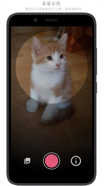 萬物識(shí)別 v2.1.63.240603 安卓版 1