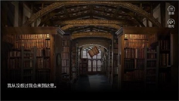 hp我能做的只有開槍 v1.0 安卓版 2