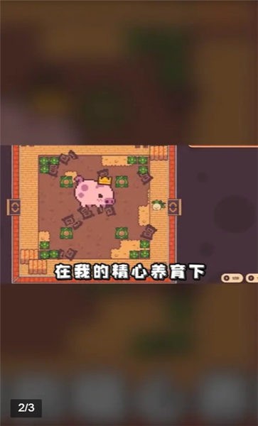 悠閑農(nóng)場 v1.1.10 安卓版 2