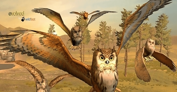貓頭鷹狩獵之旅 v1.1 安卓版 2