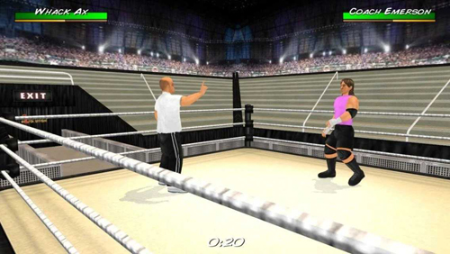 摔角革命3d v1.620 安卓版 2