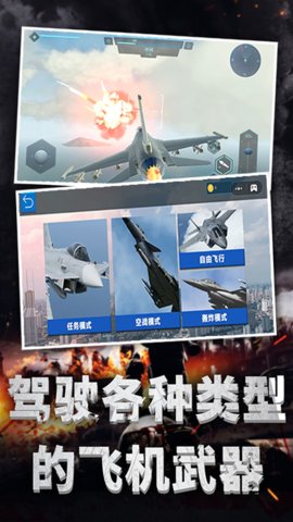極限飛機(jī)駕駛游戲 v1.0 安卓版 0