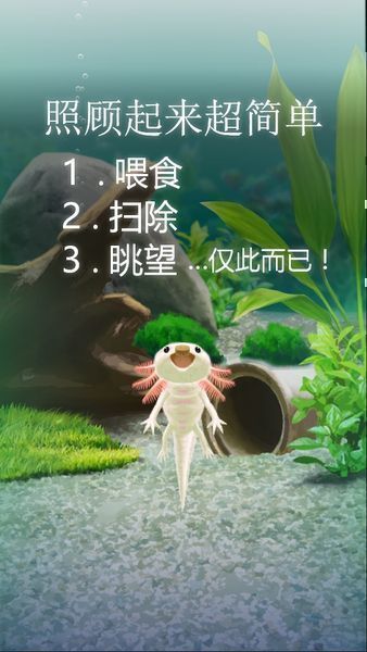 治愈的蠑螈育成 v1.0 安卓版 0