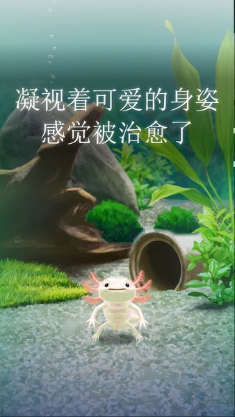 治愈的蠑螈育成 v1.0 安卓版 1