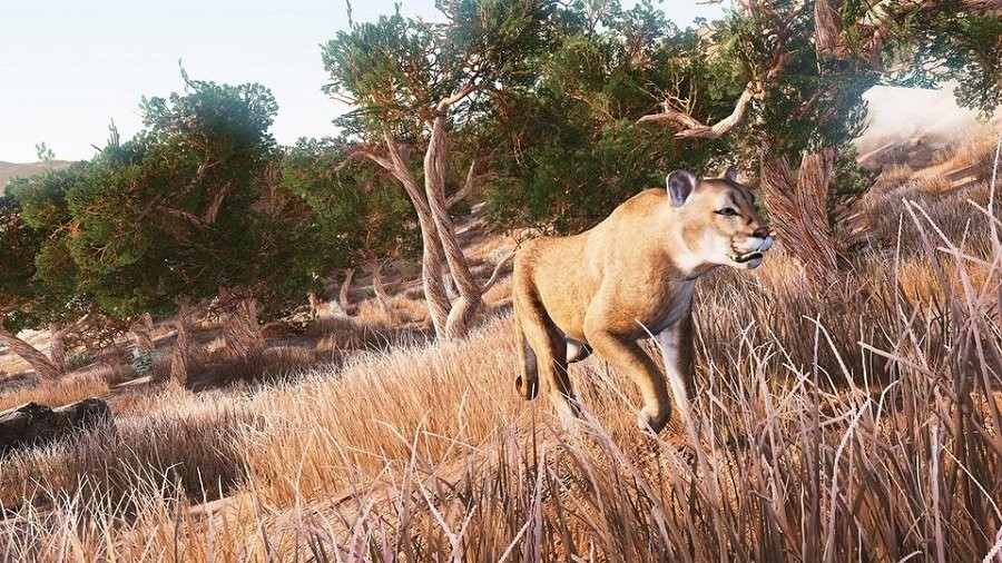 3d叢林狩獵 v1.2 安卓版 2