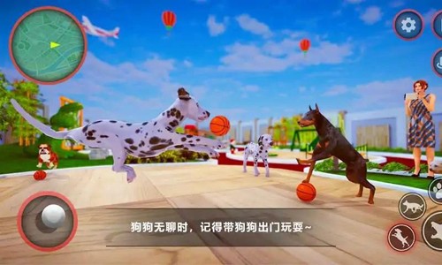 狗狗家庭陪伴 v0.3 安卓版 0
