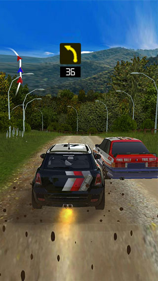 極速拉力賽車(chē) v1.10 安卓版 0