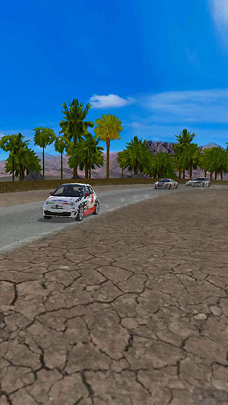 極速拉力賽車(chē) v1.10 安卓版 1