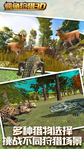 鱷魚狩獵 v1.0 安卓版 2