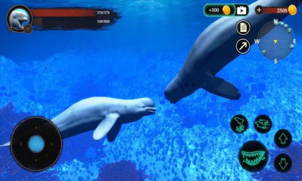 白鯨模擬器 v1.0.1 安卓版 2