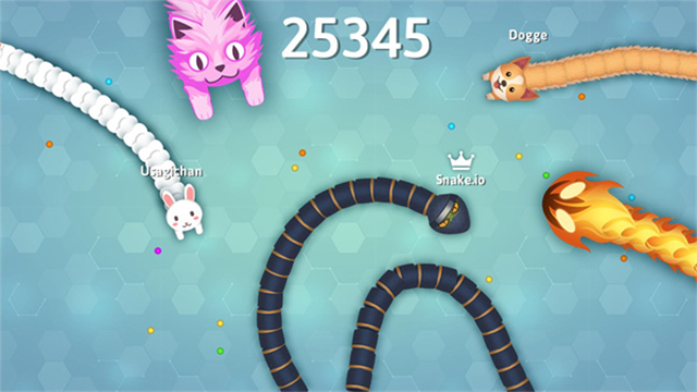 Snakeio v2.2.25 安卓版 2