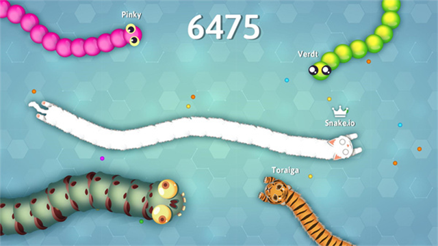 Snakeio v2.2.25 安卓版 1