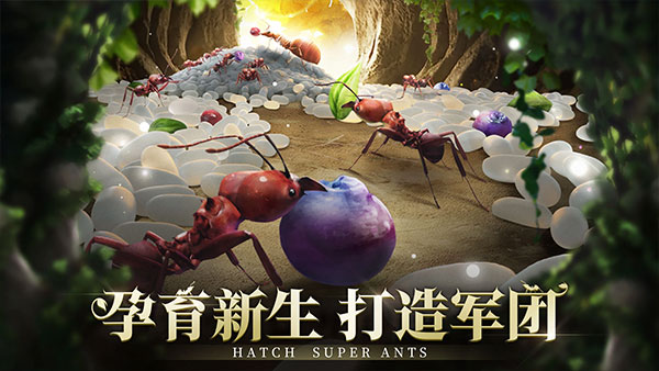 小小蟻國手機版 v3.67.0 安卓版 2