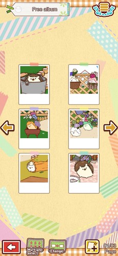 小花盆刺猬 v1.0.2 安卓版 0