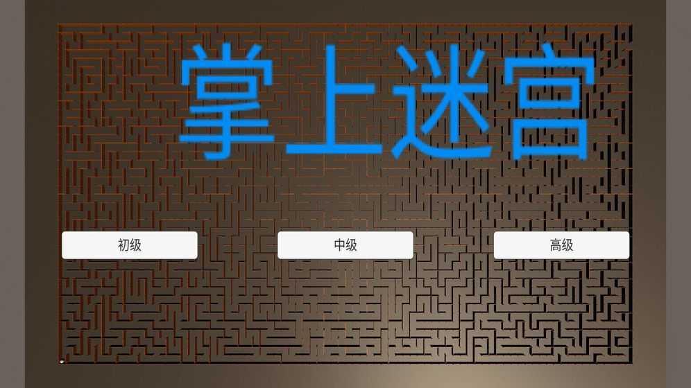 掌上迷宫 v0.1 安卓版2