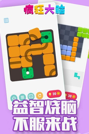 瘋狂大腦安卓版 v0.0.1 安卓版 2
