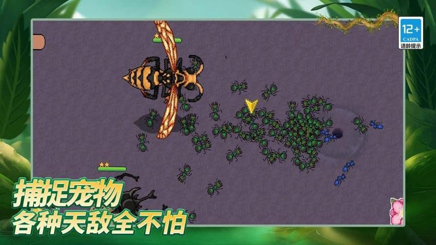 島上我最溜最新版 v1.0.0 手機版 0