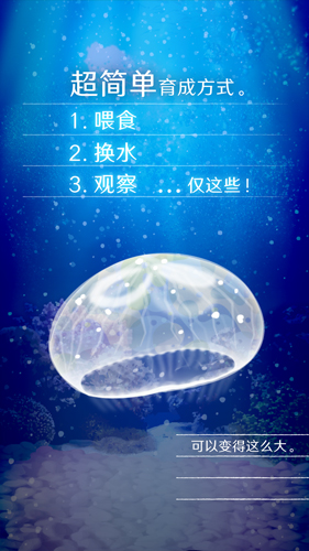 養(yǎng)育水母的治愈 v1.0.0 安卓版 1