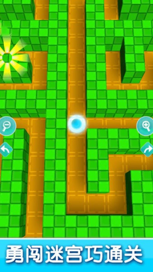 迷宮游戲行走專家手機版 v2.5 安卓版 1