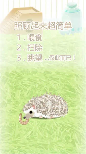 治愈的刺猬育成 v1.1 安卓版 2